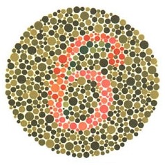 Le test d’Ishihara 14 planches