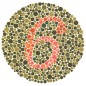 Le test d’Ishihara 10 planches pour illétré