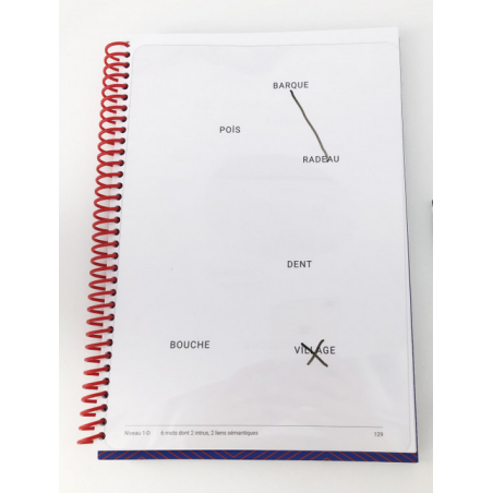 Lot de 5 feuilles transparentes effaçables