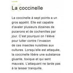 A la loupe
