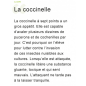 A la loupe A la loupe